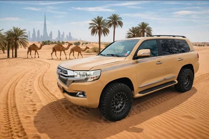 Toyota Land Cruiser 2009 photo 3