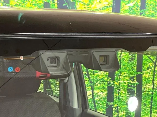 Suzuki Hausaer Ii 2016 photo 5