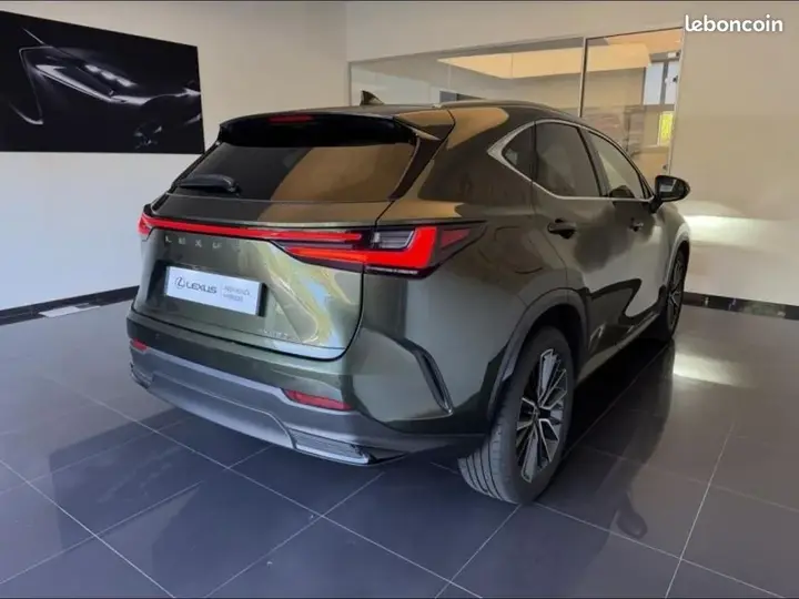 Lexus Nx 2024 photo 4