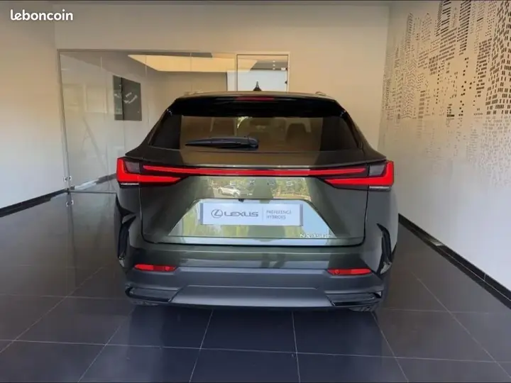 Lexus Nx 2024 photo 5