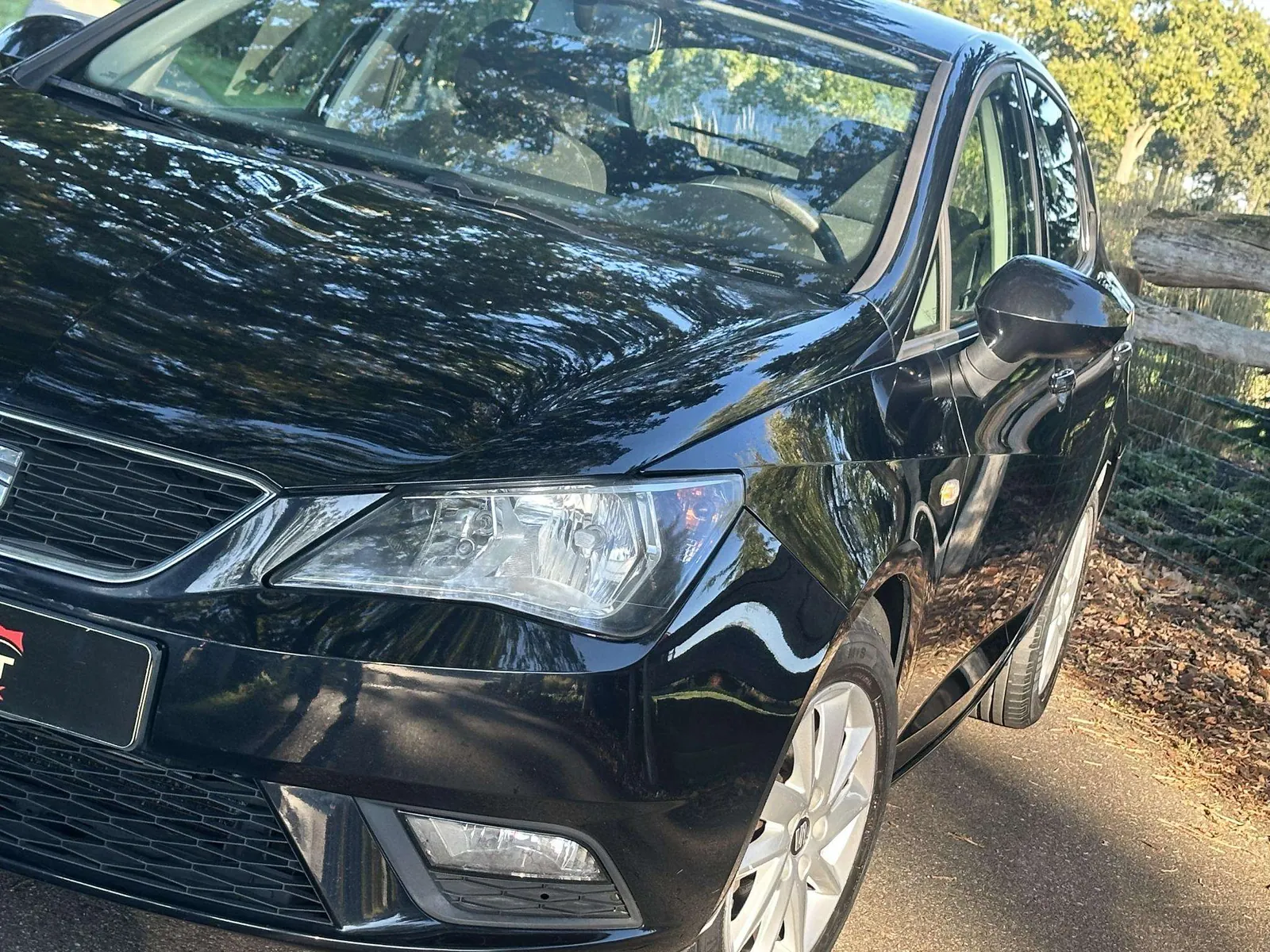 Seat Ibiza 2014 photo 2