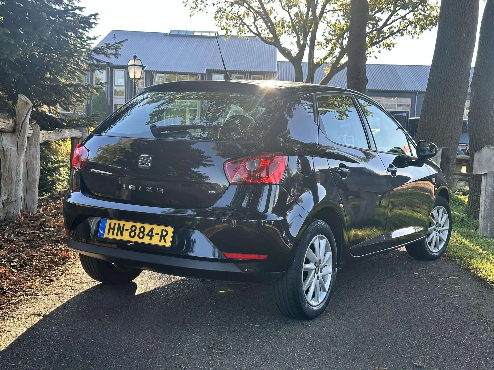 Seat Ibiza 2014 photo 5