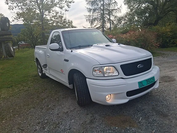 Ford F-150 2001 photo 3