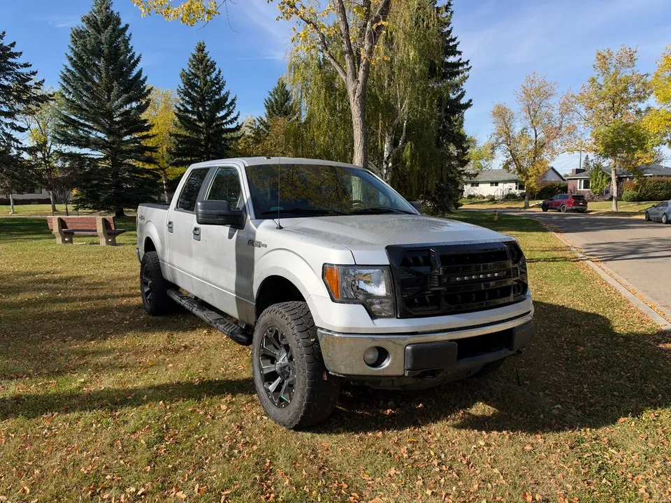 Ford F-150 2014 photo 4