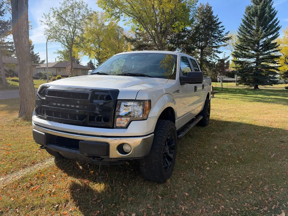 Ford F-150 2014 photo 2
