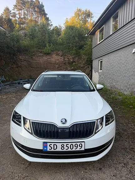Skoda Octavia 2018 photo 2