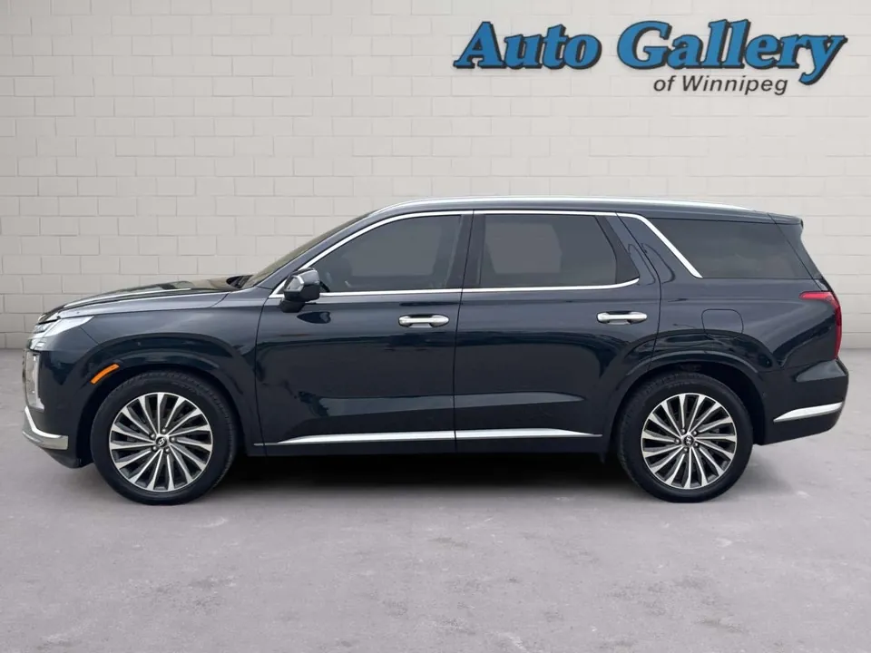 Hyundai Palisade 2025 photo 2