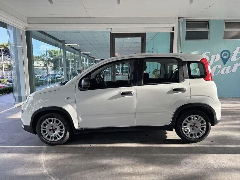 Fiat Panda 2024 photo 2