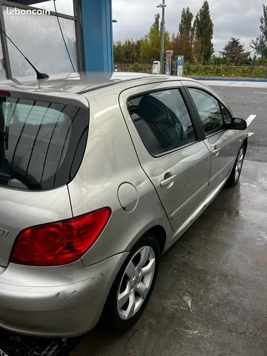 Peugeot 307 2007 photo 3
