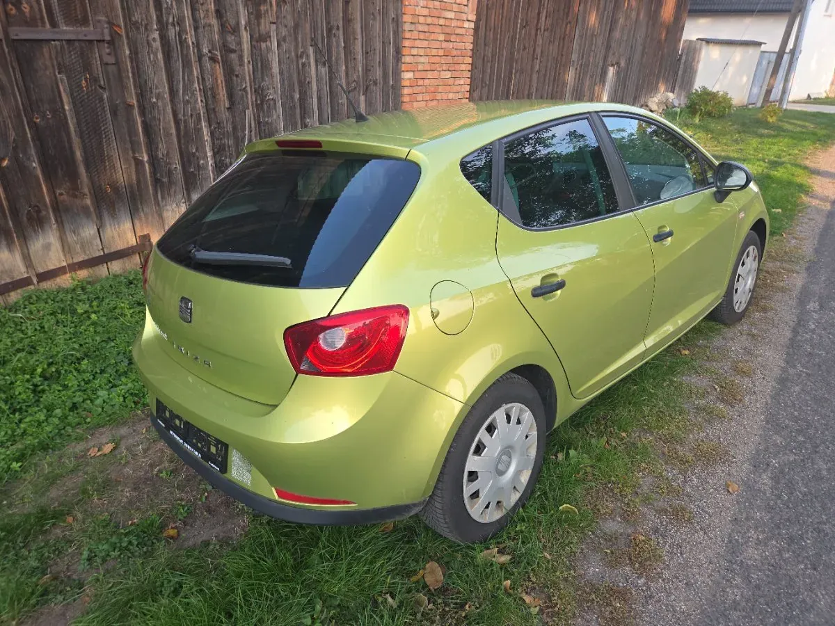 Seat Ibiza 2008 photo 2