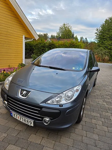 Peugeot 307 2006 photo 4