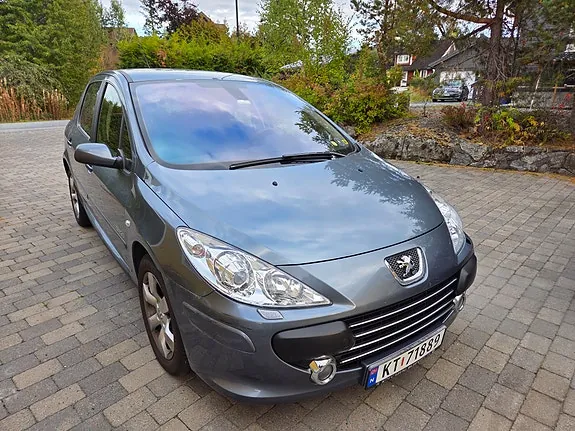 Peugeot 307 2006 photo 2