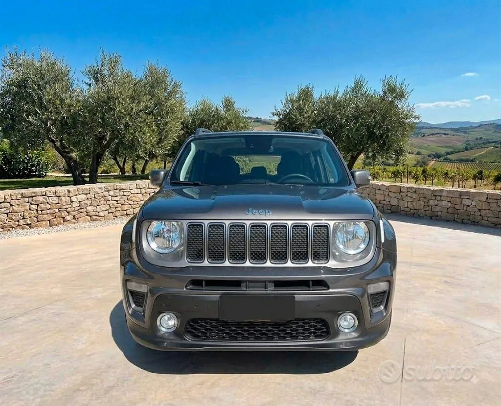 Jeep Renegade 2020 photo 2