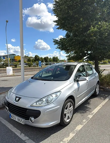 Peugeot 307 2006 photo 2