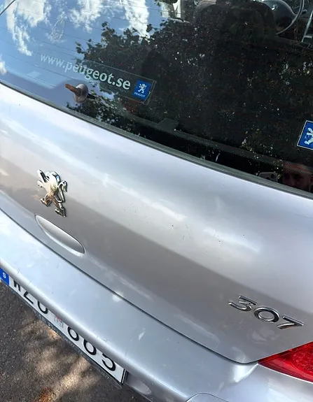 Peugeot 307 2006 photo 5