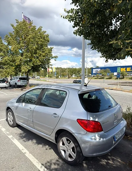 Peugeot 307 2006 photo 3