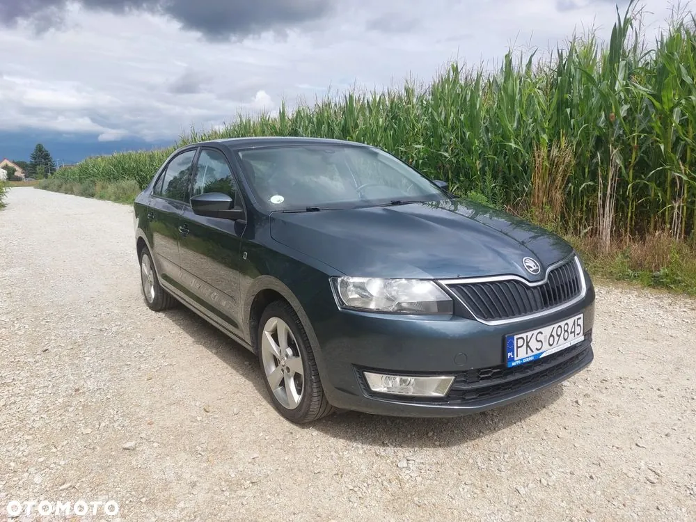 Skoda Rapid 2014 photo 2