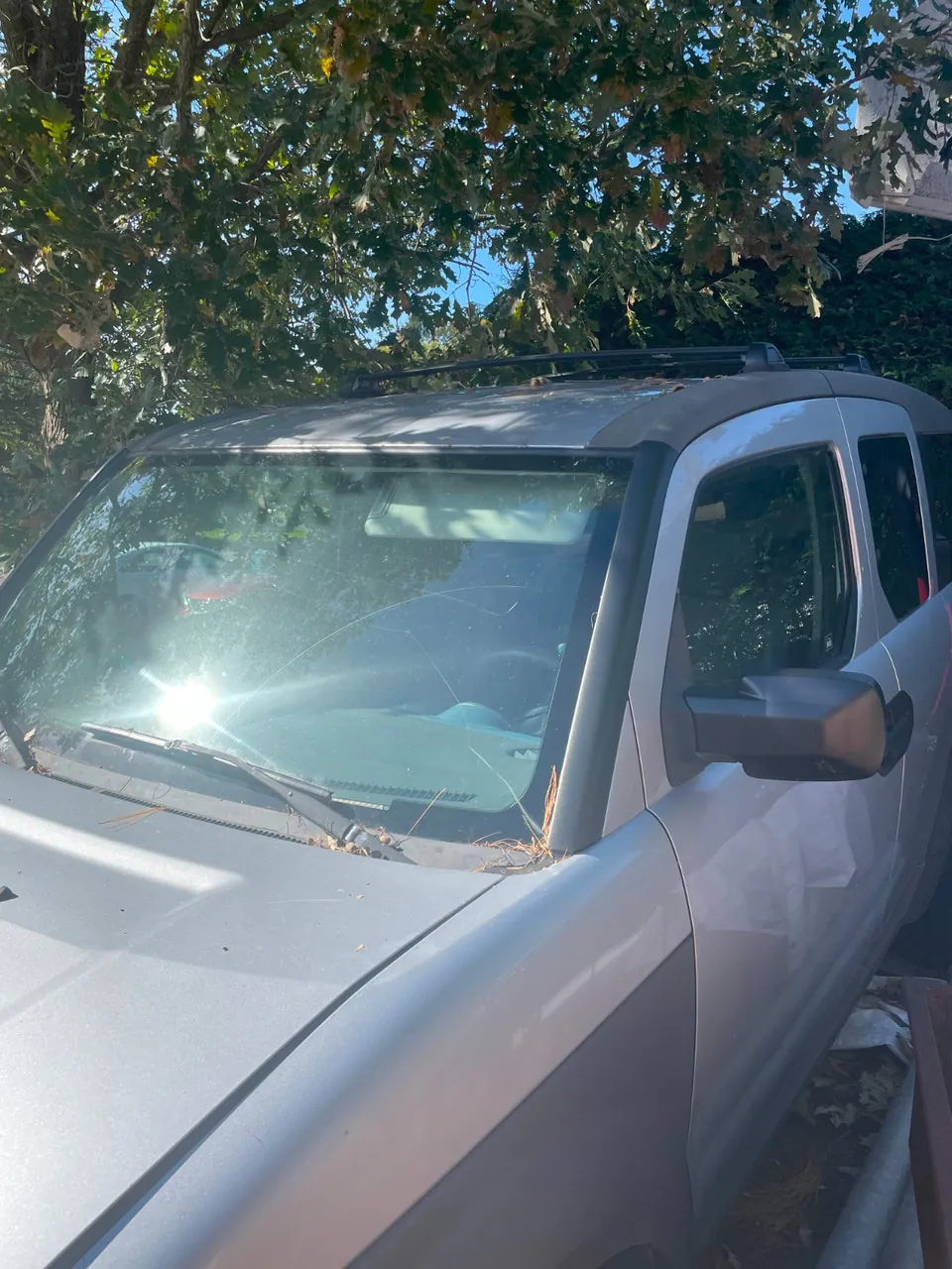 Honda Element 2004 photo 2