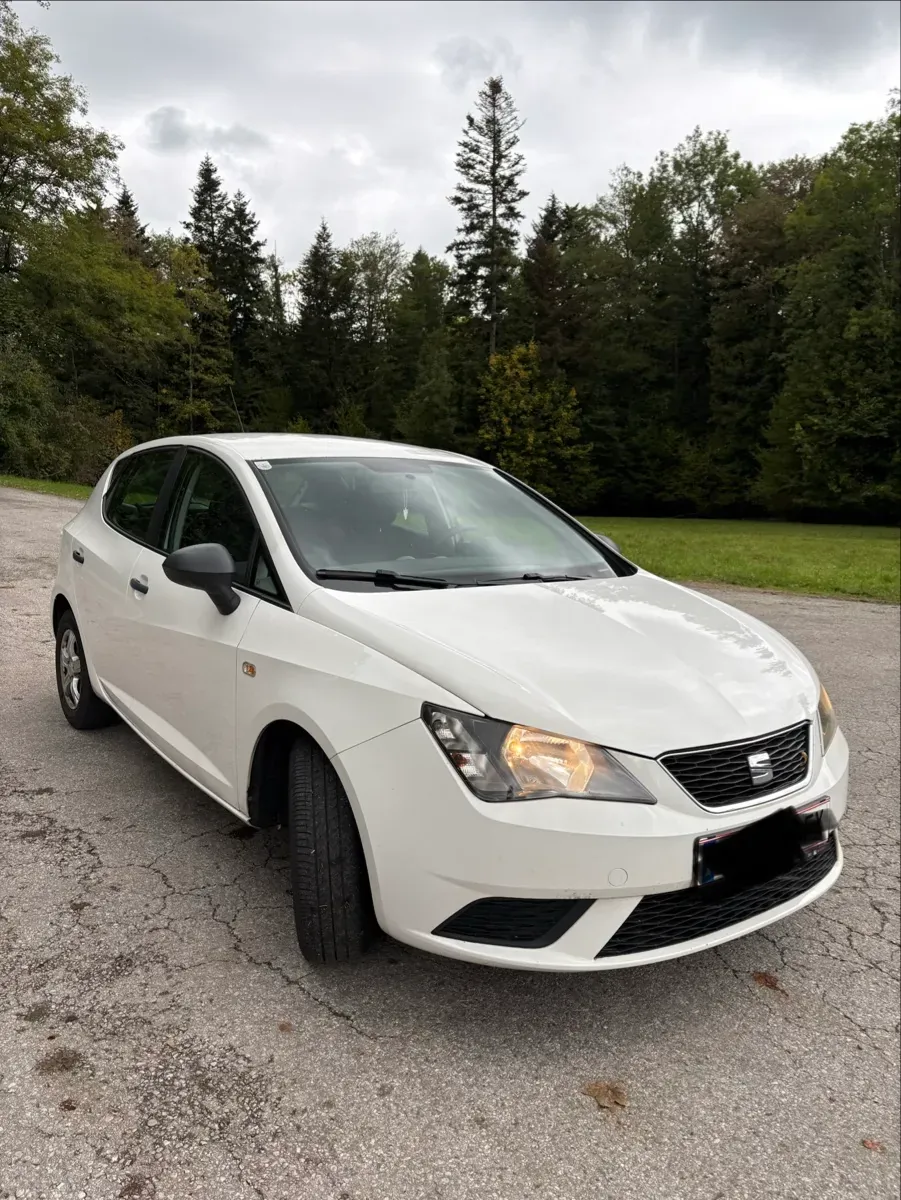 Seat Ibiza 2017 photo 2