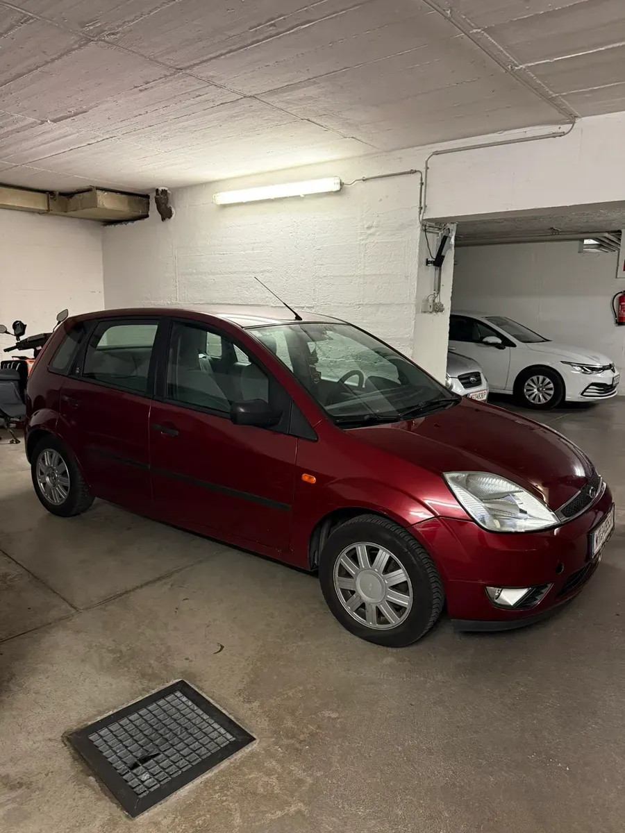 Ford Fiesta 2004 photo 3