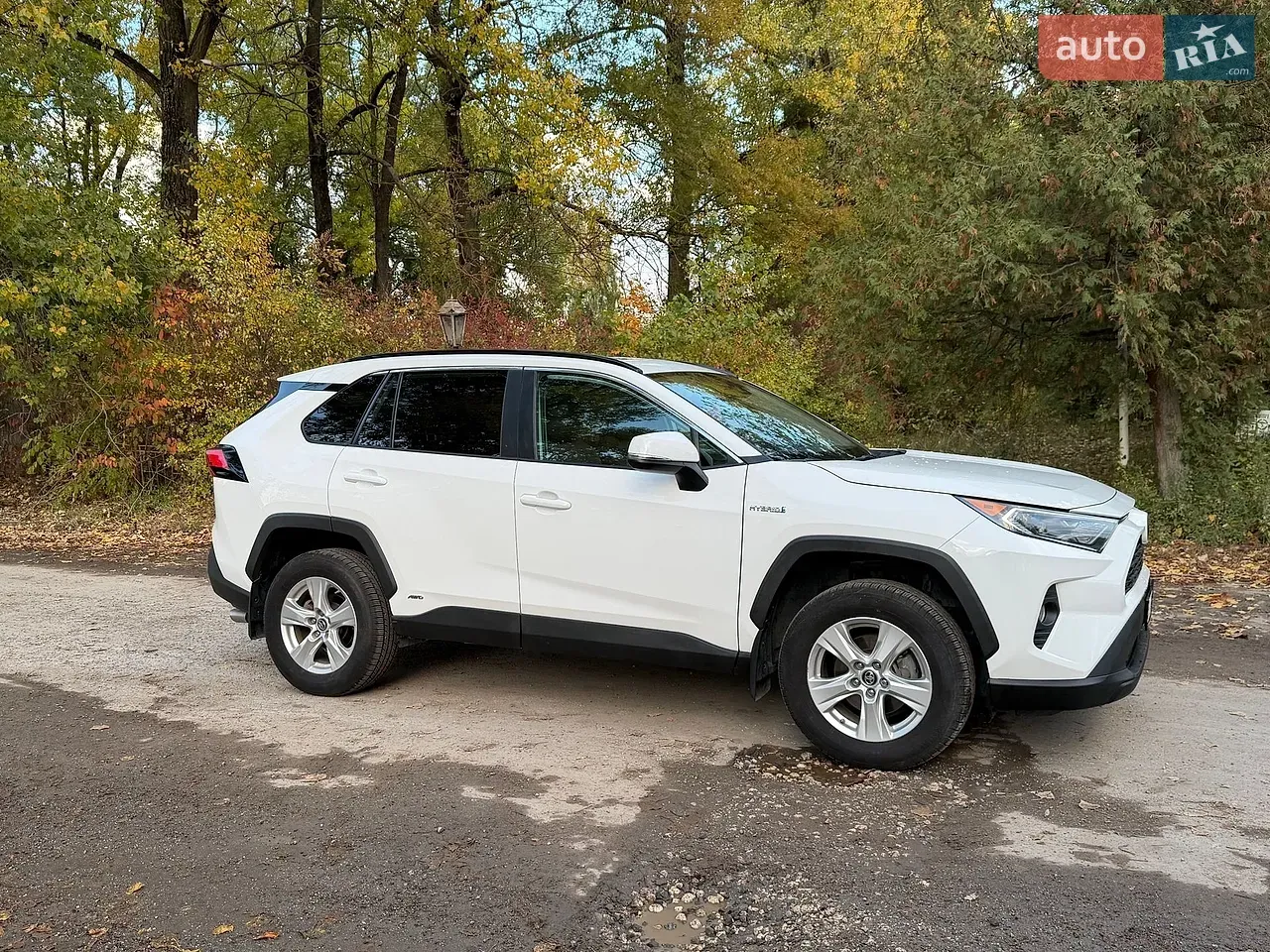 Toyota Rav4 2019 photo 3