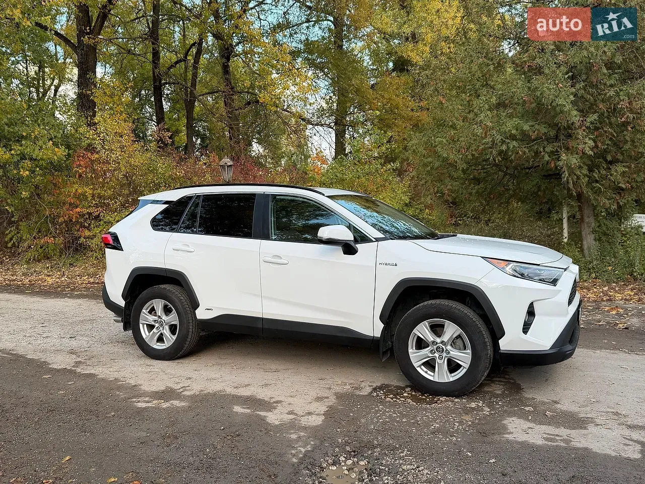 Toyota Rav4 2019 photo 4