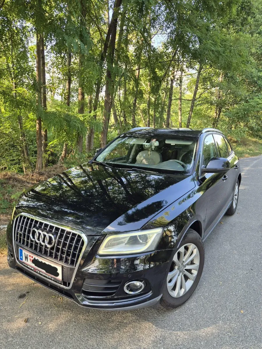Audi Q5 2013 photo 2