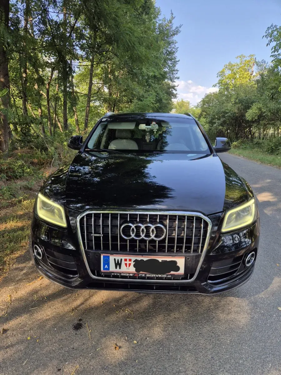Audi Q5 2013 photo 3