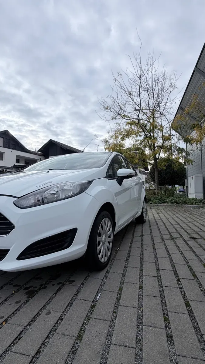 Ford Fiesta 2014 photo 2