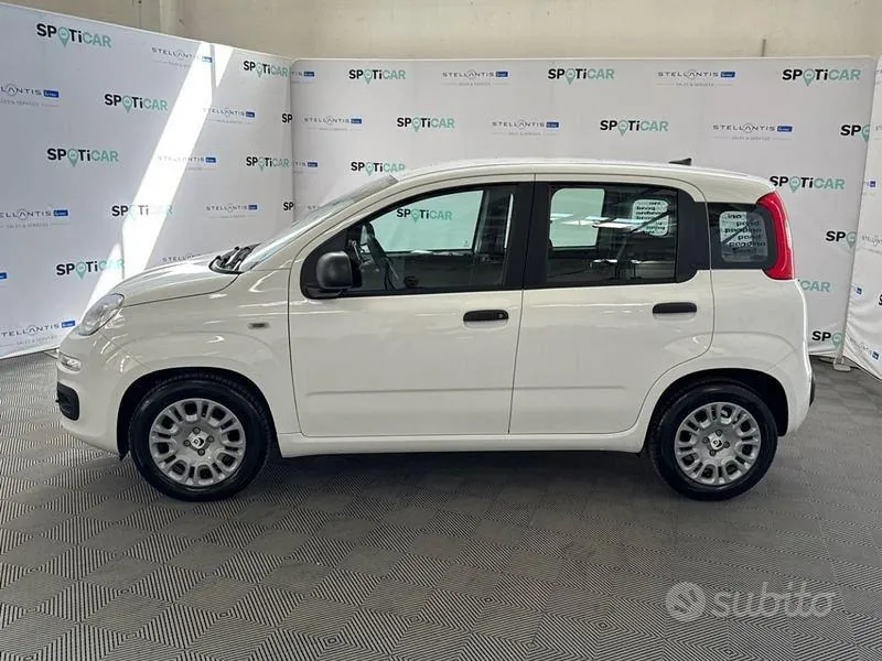 Fiat Pandina 2026 photo 2