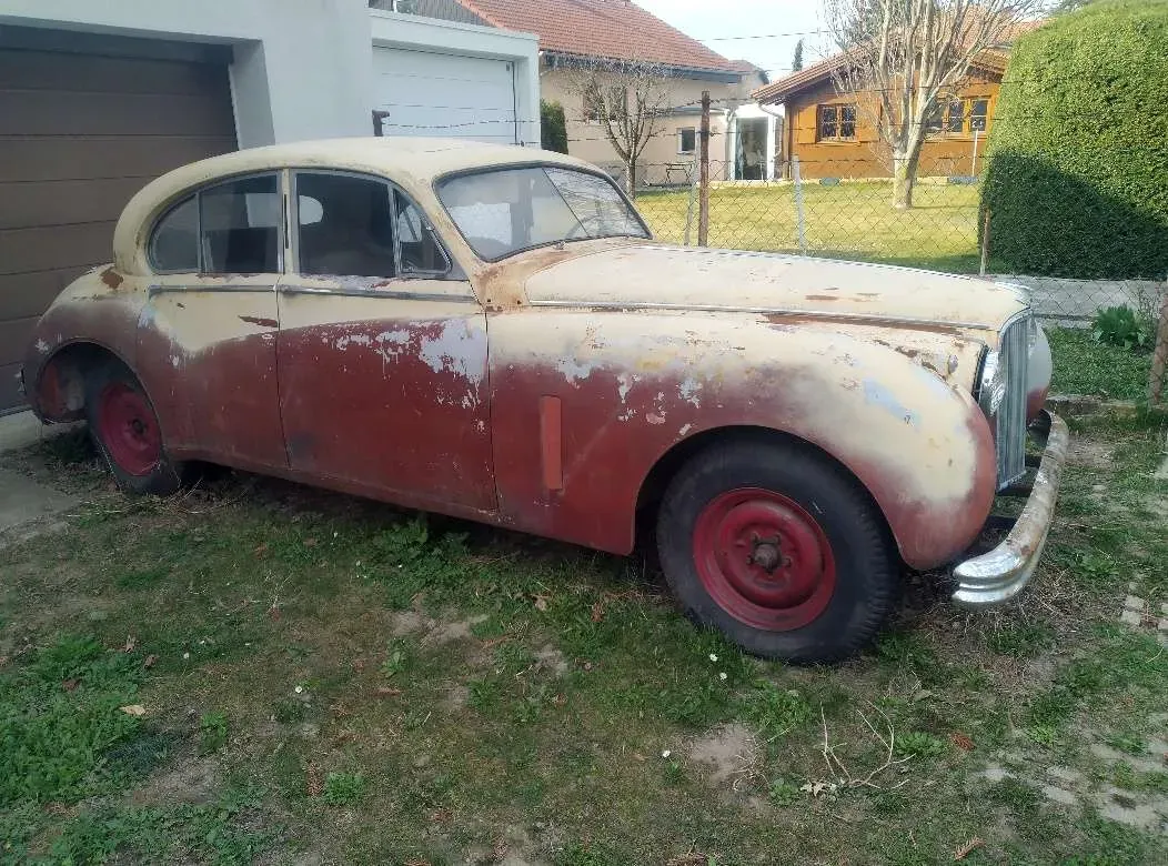 Jaguar Sonstige