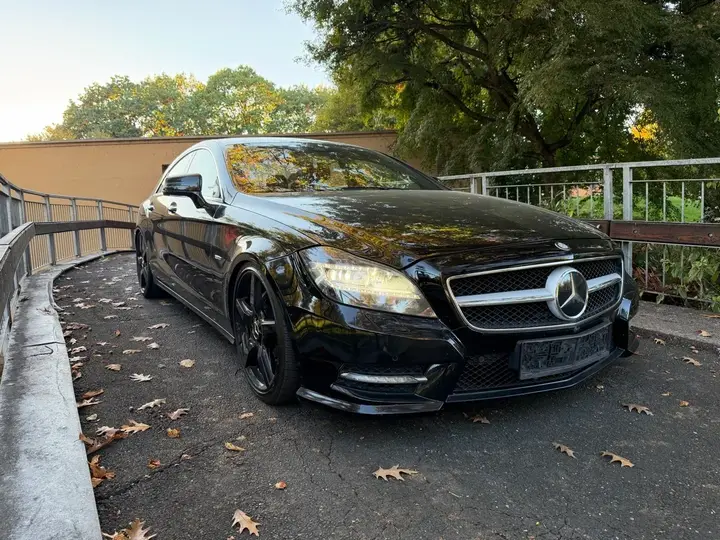 Mercedes-Benz Cls 2011 photo 2