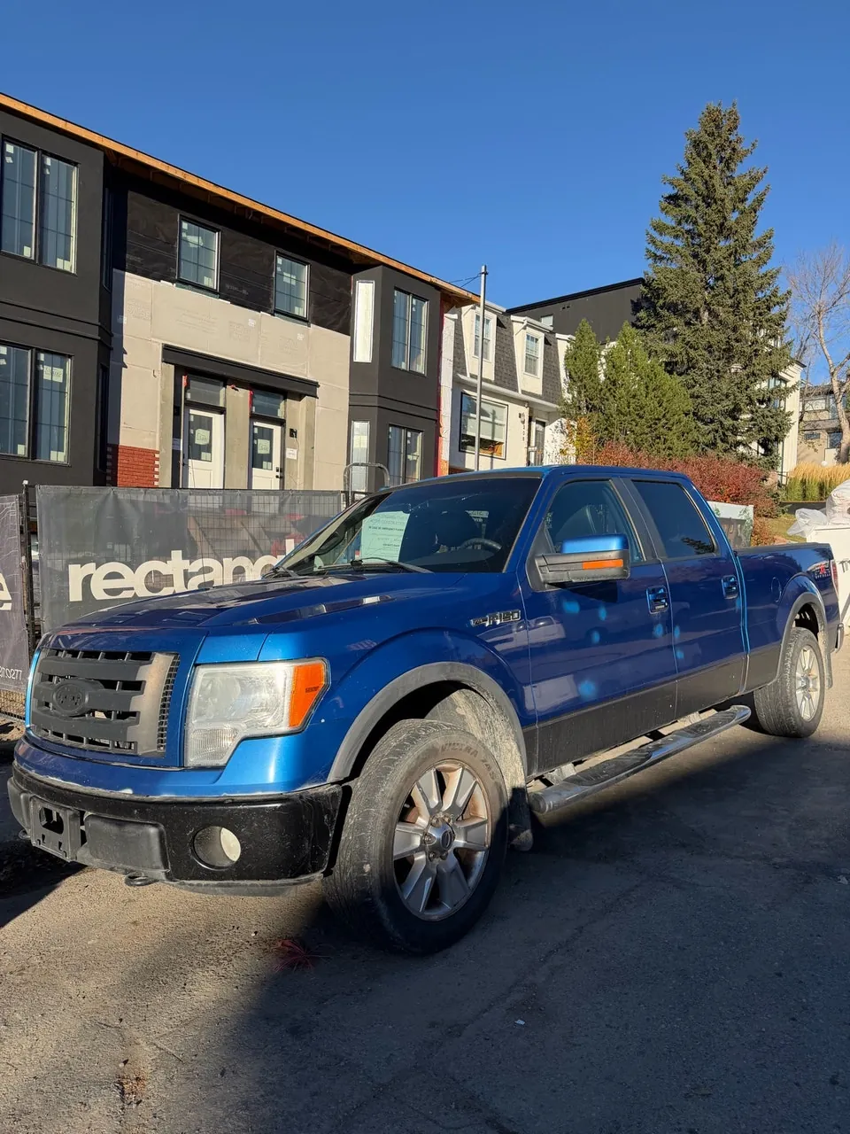 Ford F-150 2009 photo 3