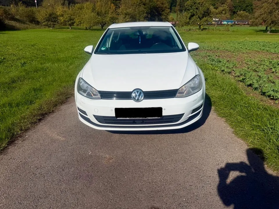 Volkswagen Golf 7 Cup