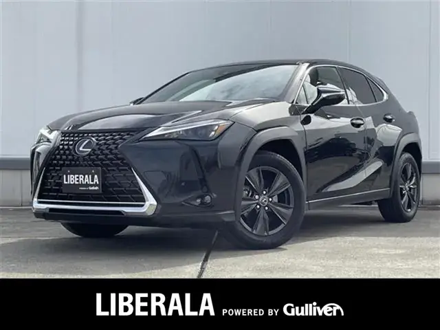 Lexus Ux 2023 photo 2
