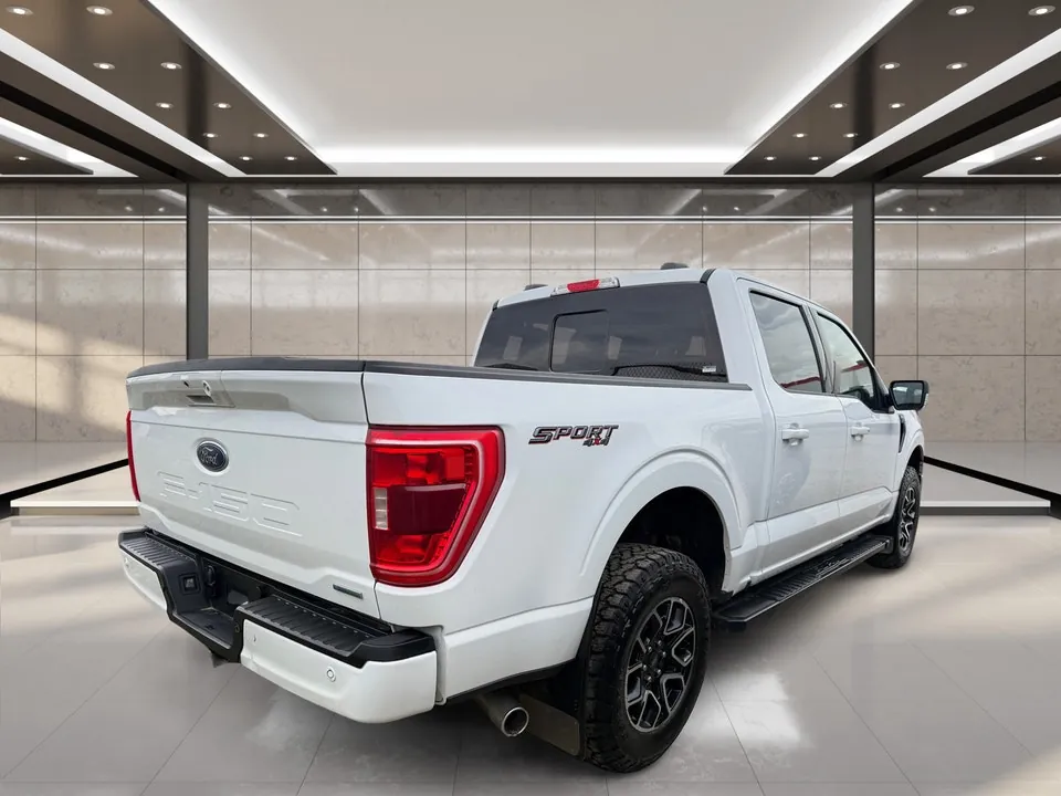 Ford F-150 2022 photo 4