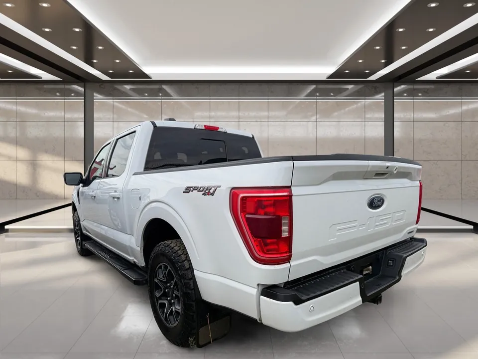 Ford F-150 2022 photo 3
