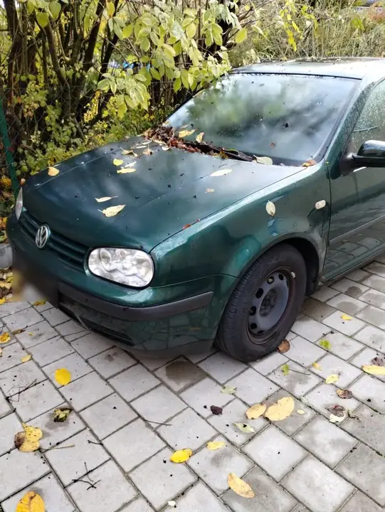 Volkswagen Golf 4