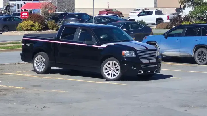 Ford F-150 2008 photo 5