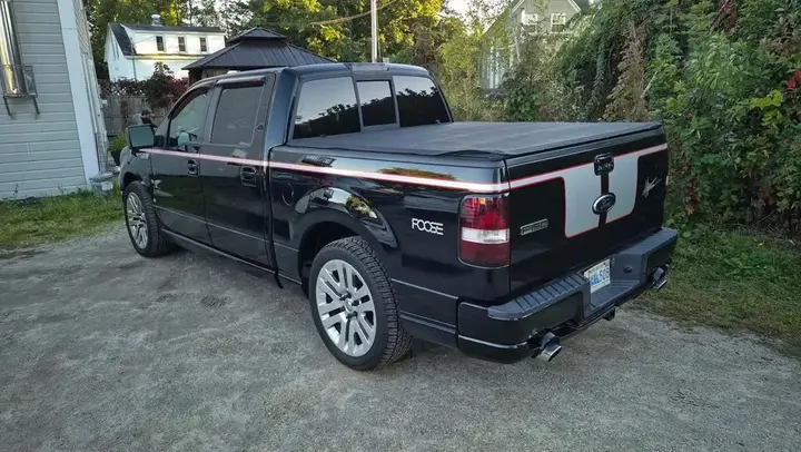 Ford F-150 2008 photo 3
