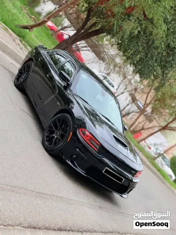 Dodge Charger 2017 photo 3