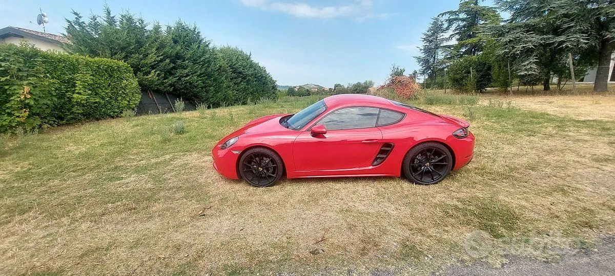 Porsche Cayman