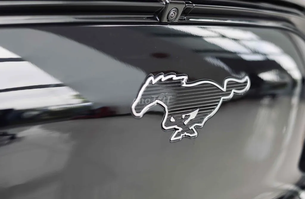 Ford Mustang Mach-E 2025 photo 4