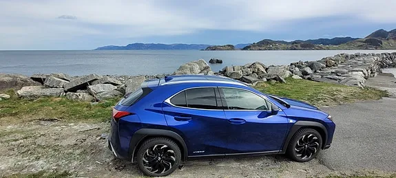 Lexus Ux250H 2019 photo 5