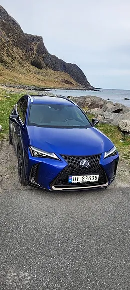 Lexus Ux250H 2019 photo 4