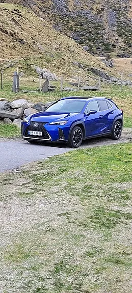 Lexus Ux250H 2019 photo 3