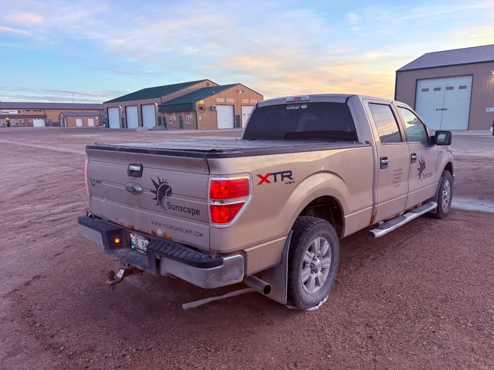 Ford F-150 2010 photo 2