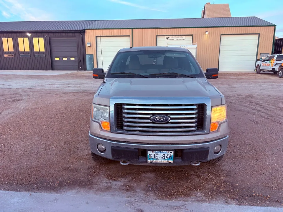 Ford F-150 2010 photo 3