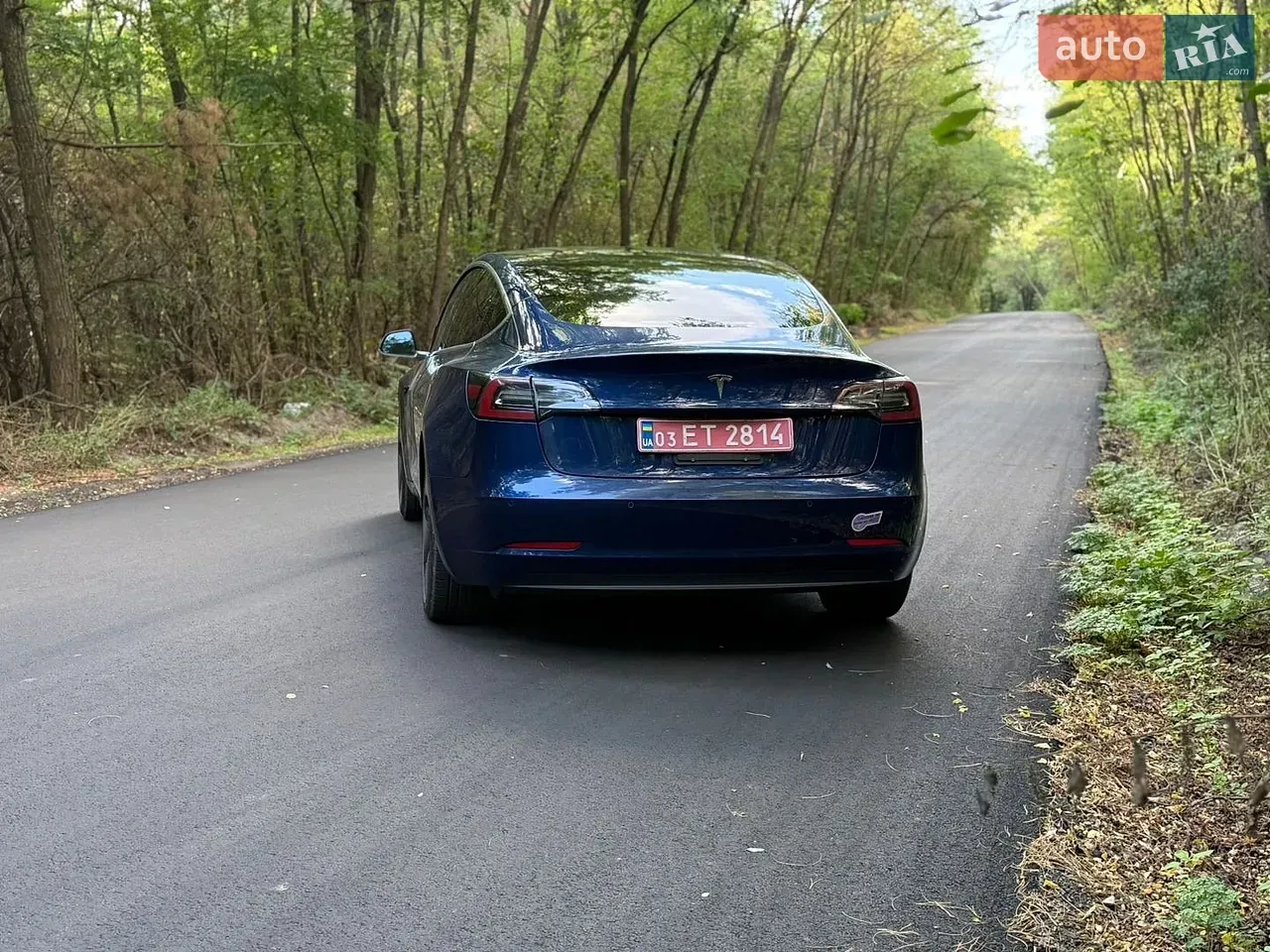 Tesla Model 3 2018 photo 4