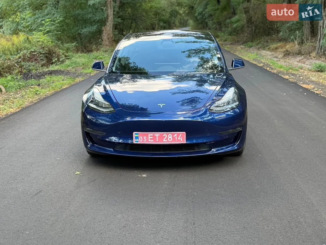 Tesla Model 3 2018 photo 2